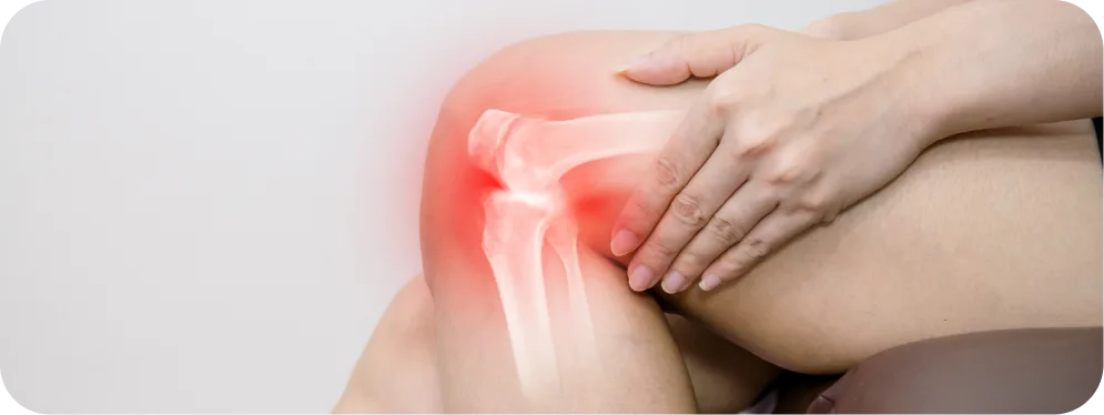 Person holding their knee with highlighted joint pain, illustrating symptoms of a meniscus root tear and cartilage stress.